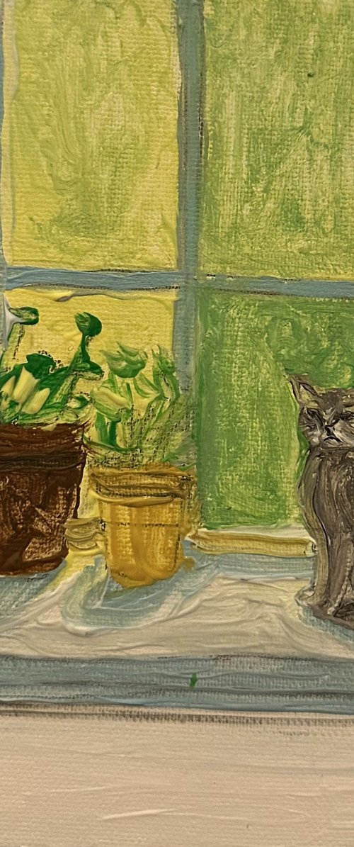 Cute little cat on a Saturday by Barbara Friehs