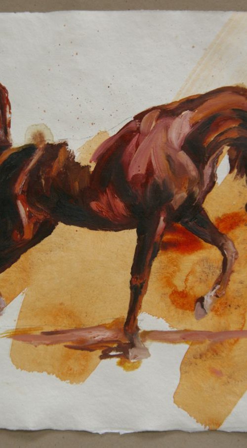Arabian V (study) by Zil Hoque