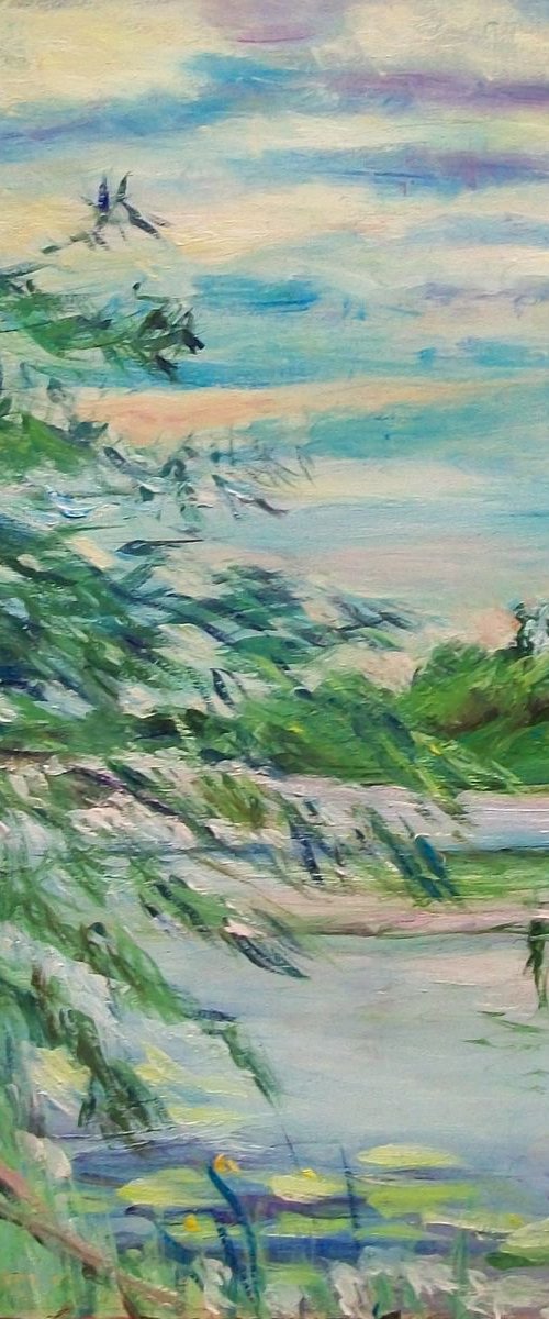 Willow on the river bank by Alexander Shvyrkov