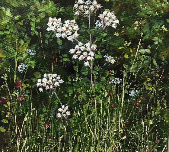 Devon Hedgerow