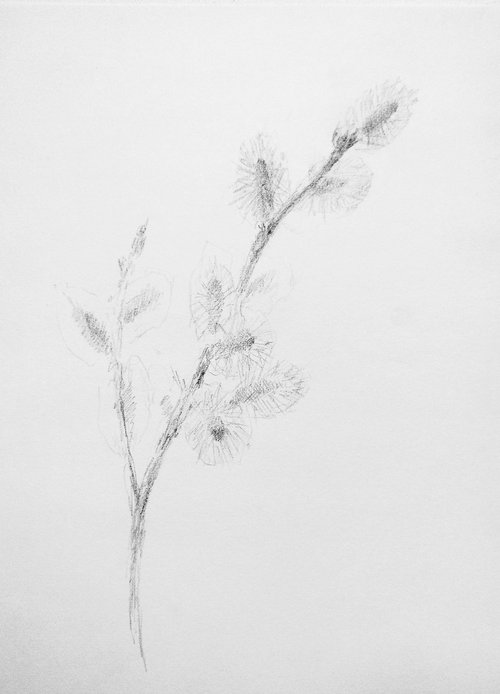 Springtime#1. Original pencil drawing. by Yury Klyan