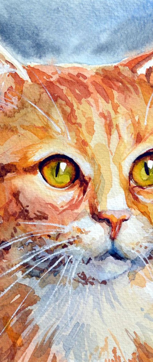 Red cat. by Irina Ushakova