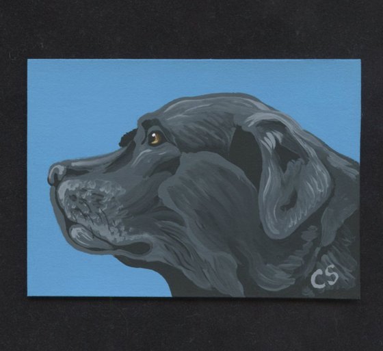 ACEO ATC Original Painting Black Labrador Retriever Pet Dog Art-Carla Smale