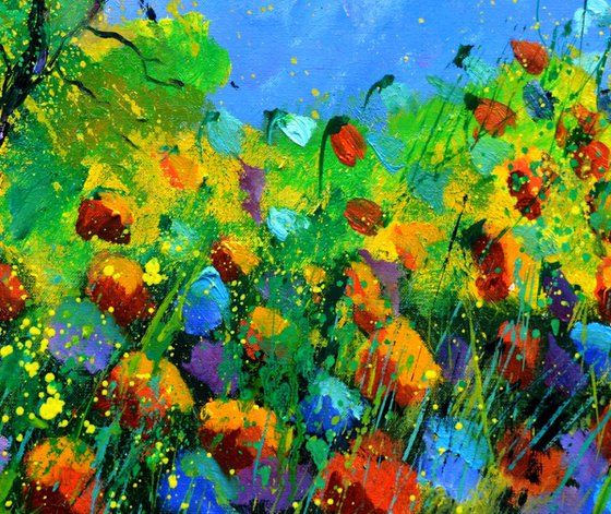 Poppies near my Home