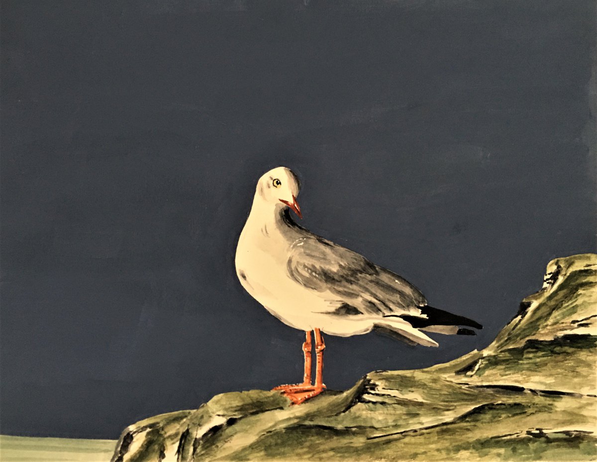 Lone Gull #2 by Laurence Wheeler