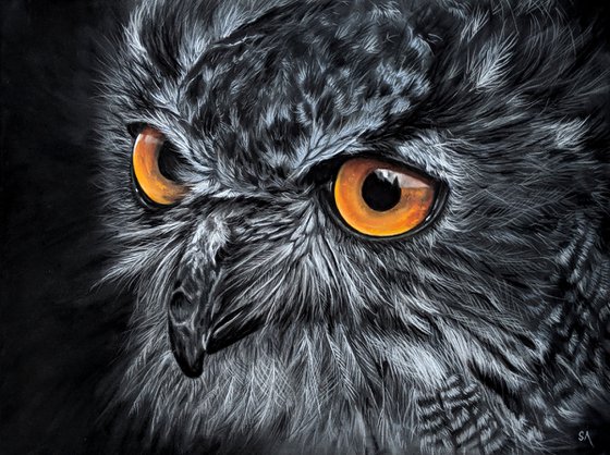 EAGLE OWL Limited Edition A3 Print