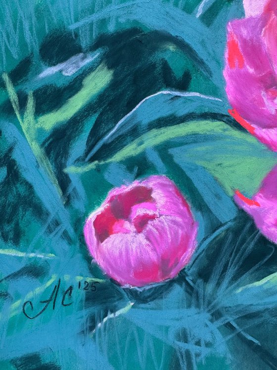 Peonies at Sunset