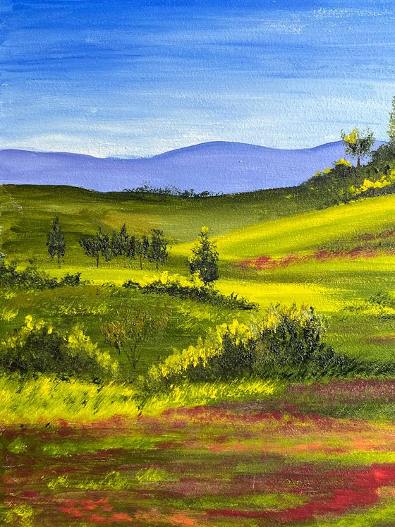 Tuscany. Poppy Field. original oil painting
