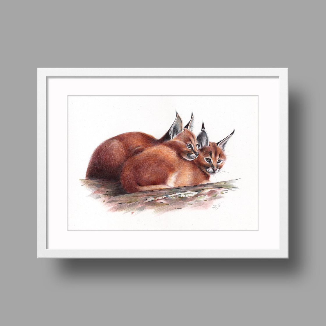 Original Drawing - Caracal - Animal Portrait by Daria Maier