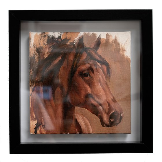 Equine Head Arab Chestnut (study 27)