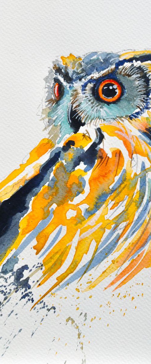 Small owl portrait by Flavio Furlan