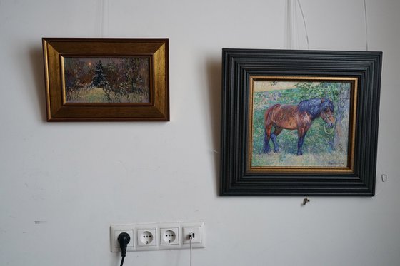 A spruce on a winter boulevard at night