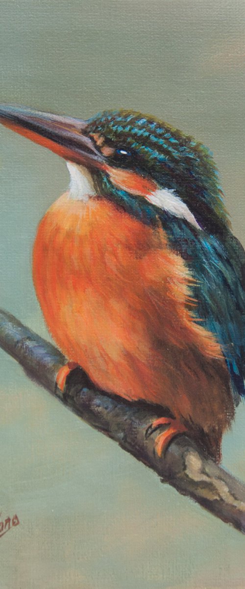 Kingfisher 4 by Norma Beatriz Zaro