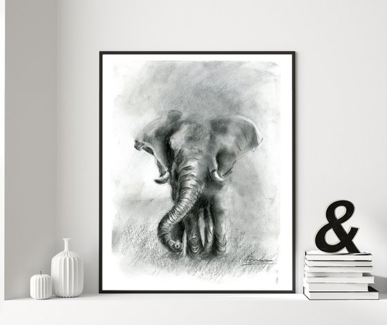 Elephant - Charcoal drawing