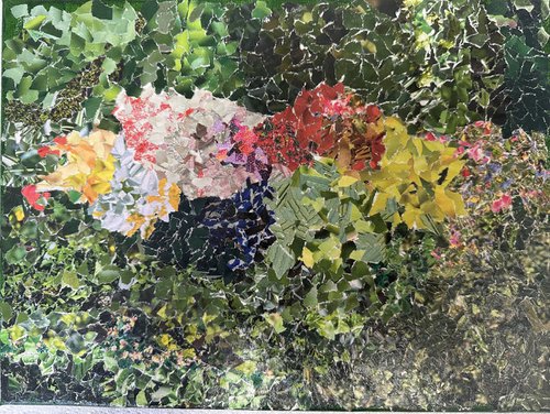 Collage of flowers by Maxine Taylor