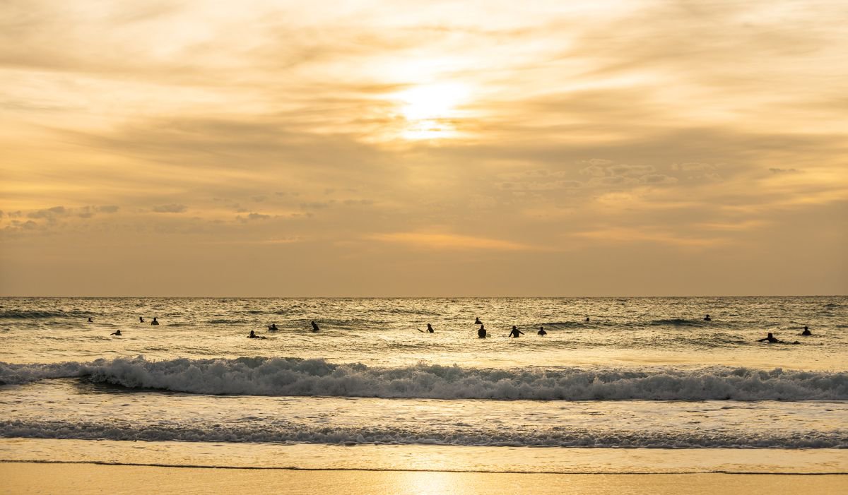 GOLDEN SURFERS by Andrew Lever