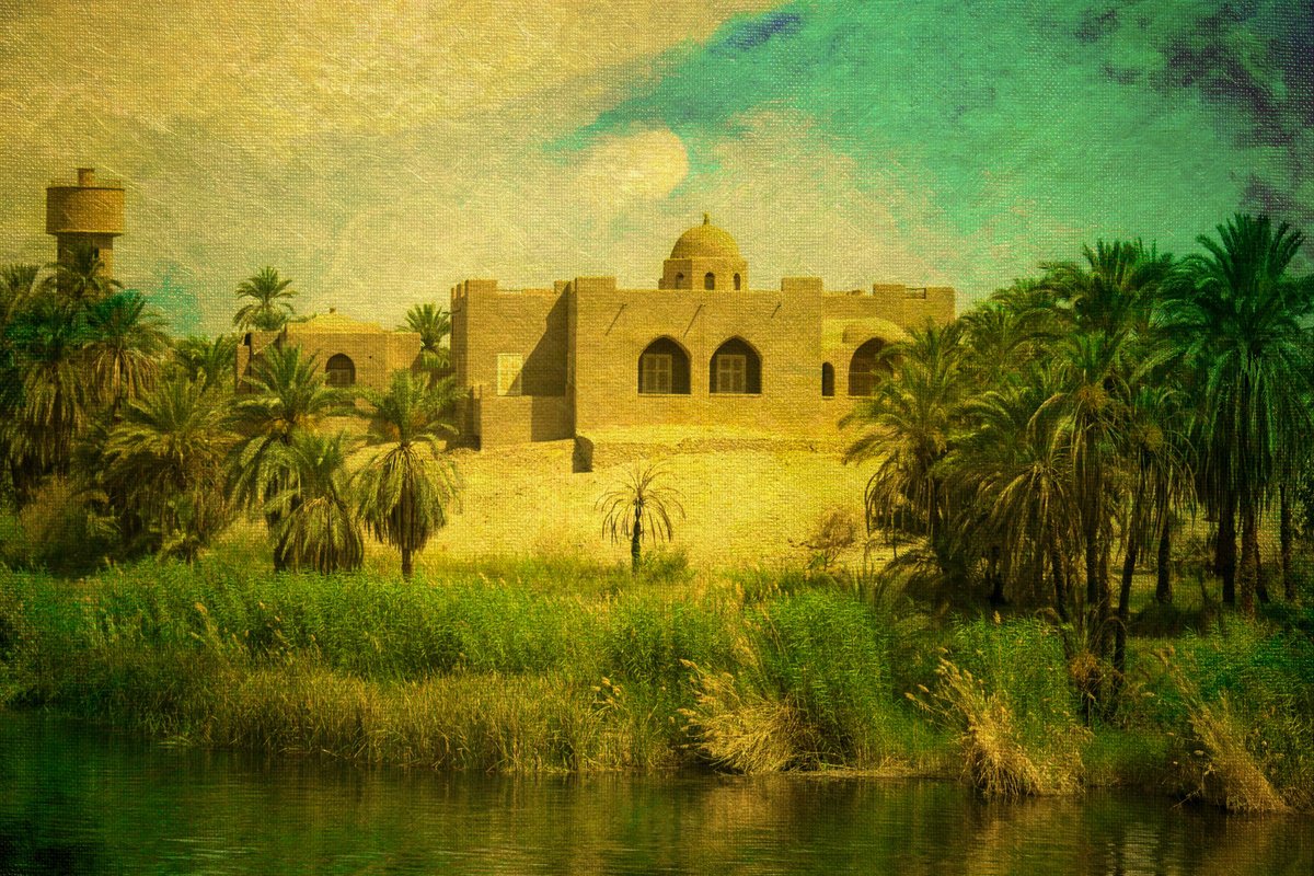 Impressionistic Botanical Photograph By Viet Ha Tran, 28 X 20", Life On The Nile River, Original Artwork