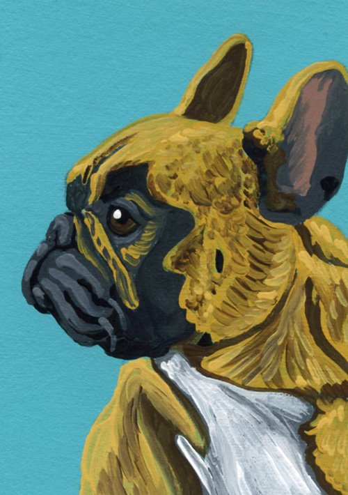 Tan French Bulldog by Carla Smale
