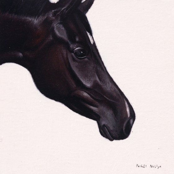 Horse Portrait 26