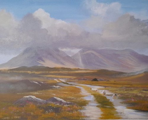 connemara showers by cathal o malley