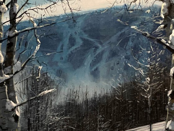 Light in the Snowy Forest