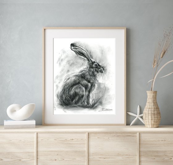 The Rabbit - Charcoal drawing