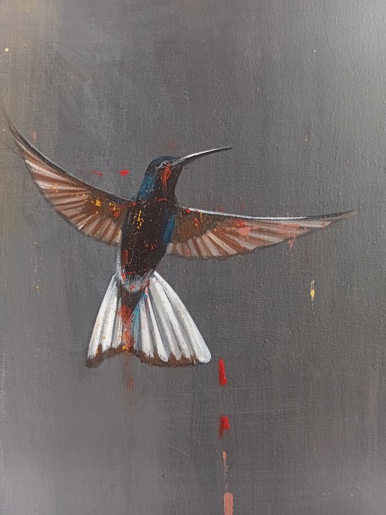 Hummingbird