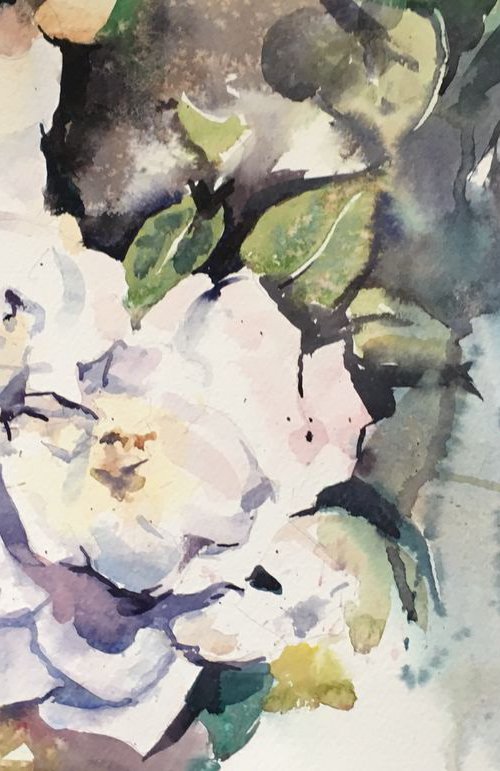 Flower Study by Anthony Barrow BA(Hons) Fine Art