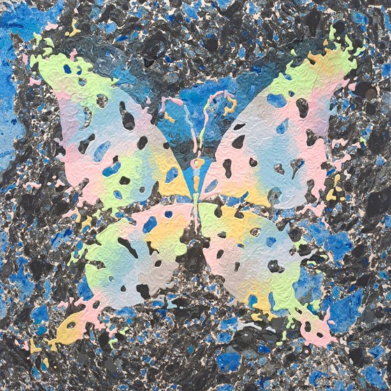 Butterfly «Night Rainbow»