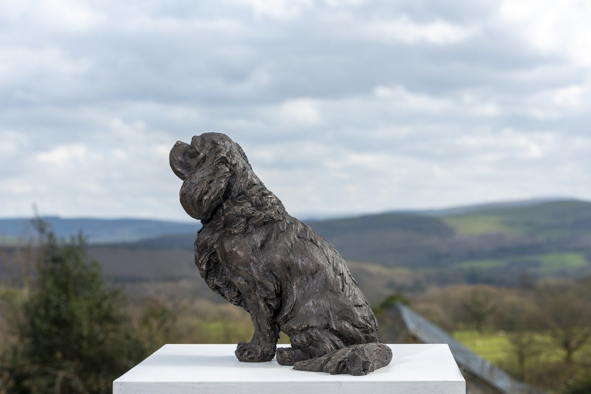 Animal Bronze Sculpture By Tanya Russell, 17 X 18", Sitting Cavalier Bronze Resin, Original Artwork