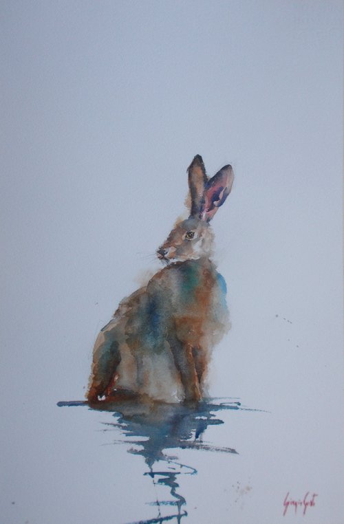 hare 2 by Giorgio Gosti