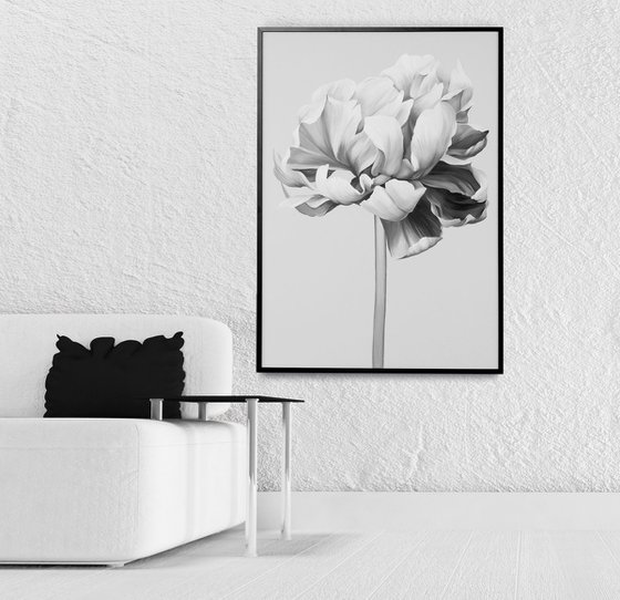 "Black and white peony" Black white flowers