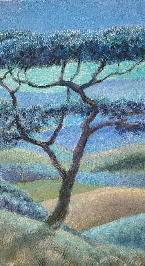 Shore Pine By The Moonlight by Vadim Vaskovsky