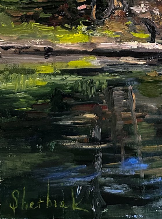 Calm morning by the water