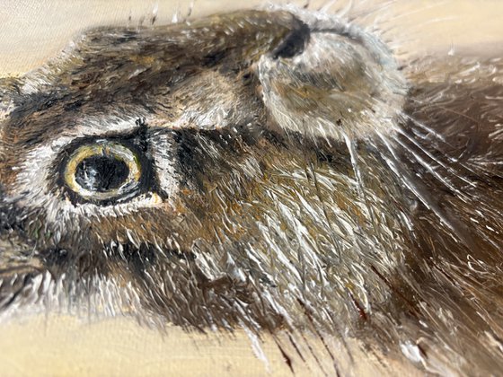 Framed Hare Oil Painting Original Impasto