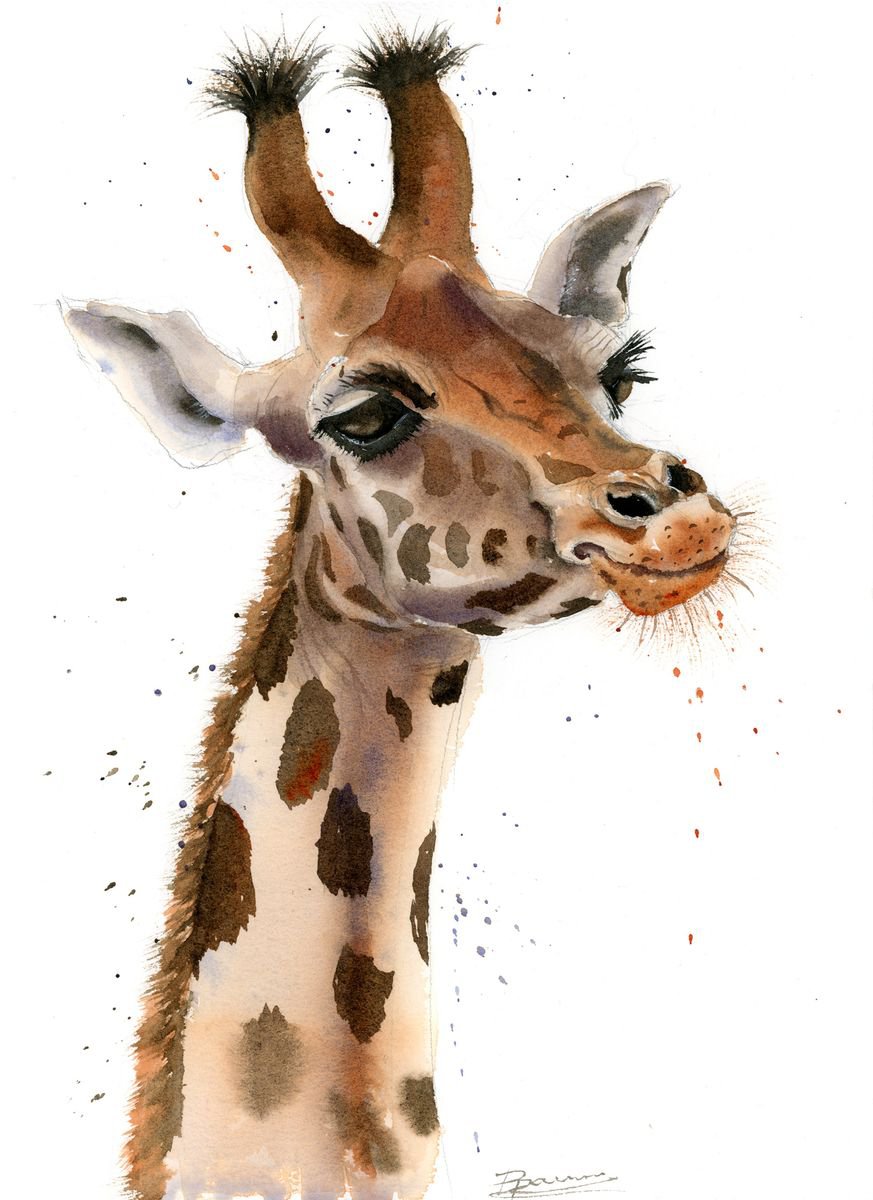 Cute giraffe by Olga Shefranov (Tchefranova)