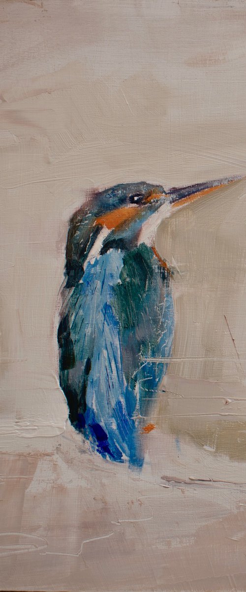 Kingfisher study by Sean Fear