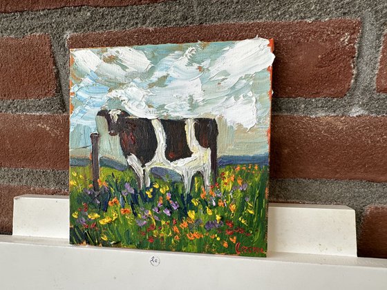 A cow in a field