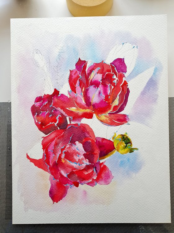 Carmine tulips