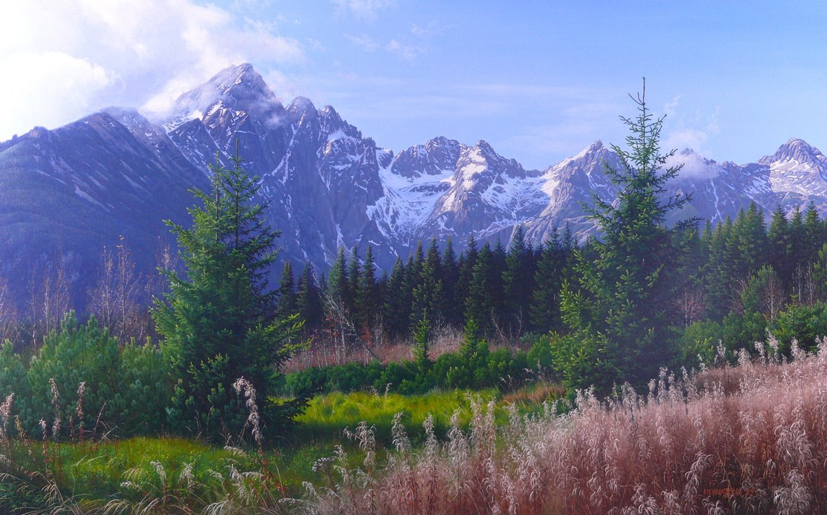 Photorealistic Landscape Oil Painting By Mlynarcik Emil, 31 X 20", Short Stop In The Mountains, Original Artwork