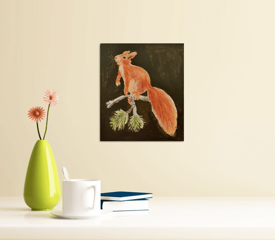 Squirrel