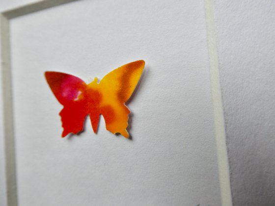 One Orange Butterfly