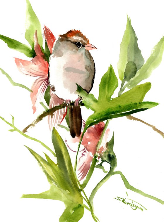 Sparrow