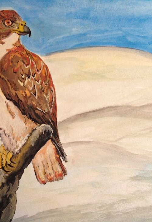 Winterhawk by Donna Daniels
