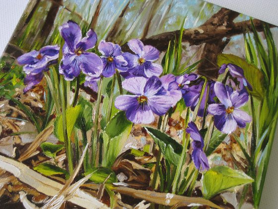 Sweet Violet in the Spring Forest, Woodland Scenery, Realistic Floral