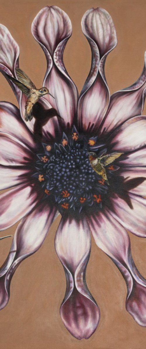 Abundance by Natalie Toplass