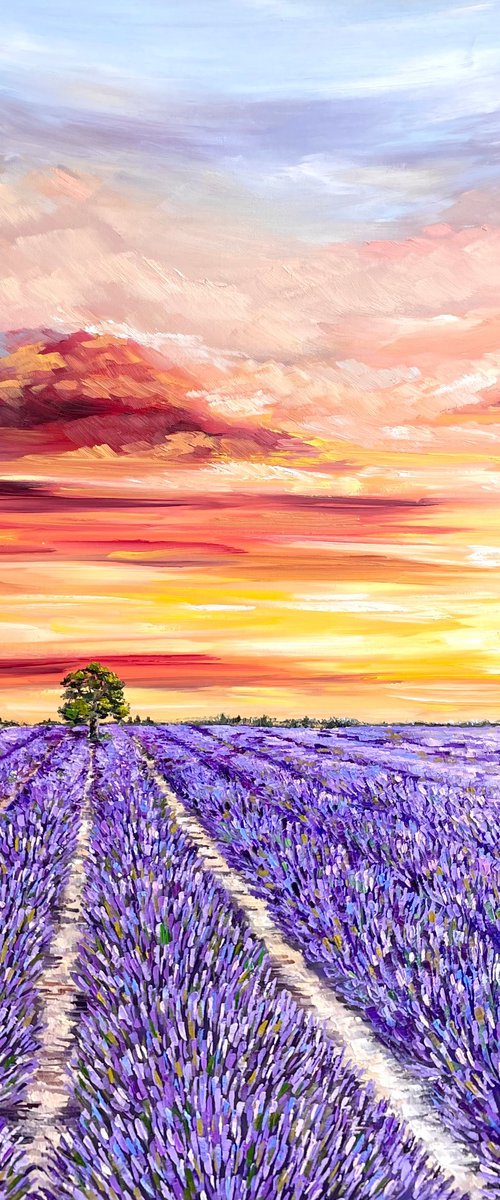 Lavender field by Tanya Stefanovich