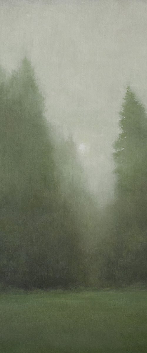 Misty Forest 210627, evergreen trees tonal landscape by Don Bishop