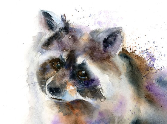 Raccoon portrait