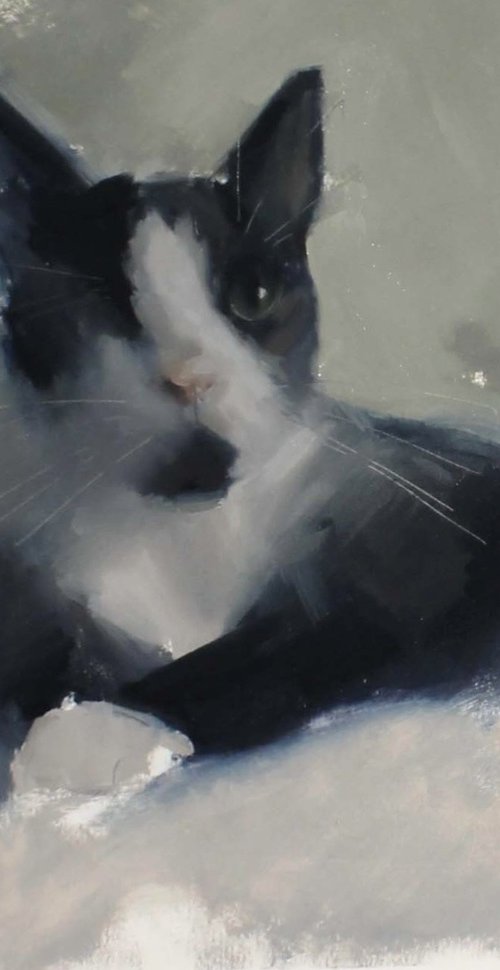 Watchful Whiskers - Uno by Jade Eynon